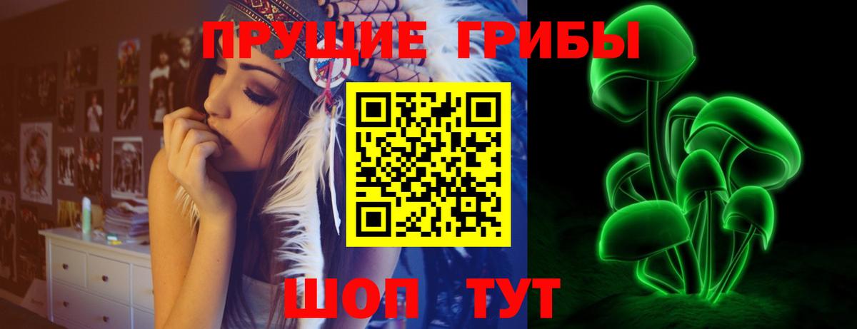 Баксан  Псилоцибиновые грибы прущие грибы  Вход с VPN  где можно купить   Галлюциногенные грибы мухоморы 